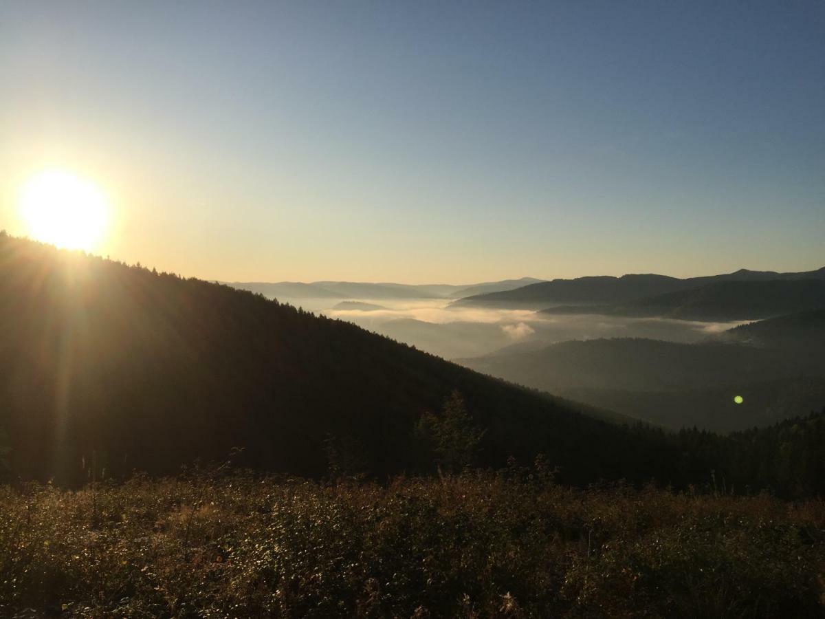 Садиба Червона Калина Private Estate Chervona Kalyna Jaremtsje Buitenkant foto